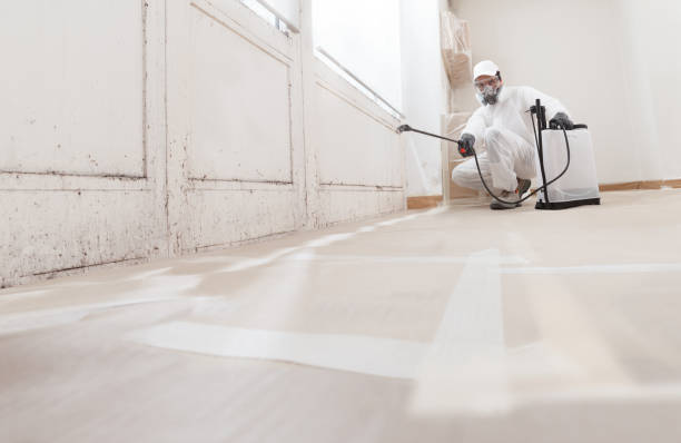 24/7 Emergency Crawl Space Mold Remediation experts in Rockton, PA