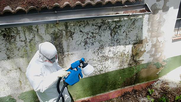 Top rated local Crawl Space Mold Remediation specialists in Rockton, PA